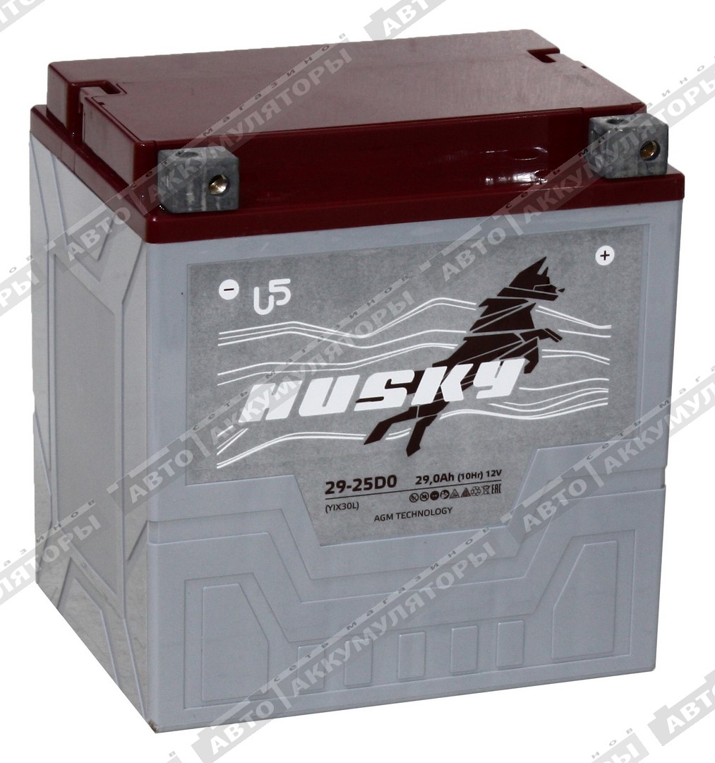 Мотоаккумулятор HUSKY 29-25D0 (CT 1230, YTX30L-BS)