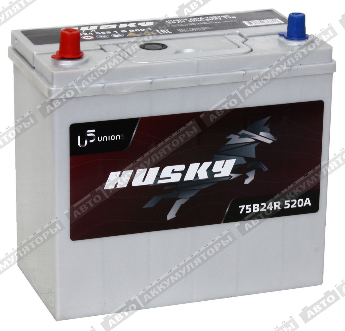 Husky Asia 55.1 (75B24R) 55 Ач