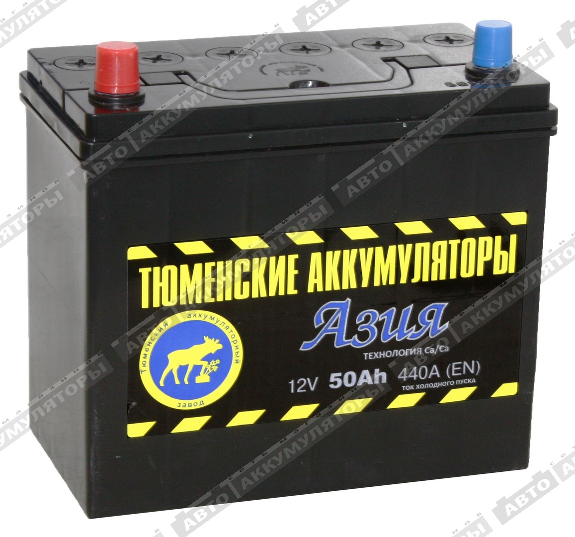Тюмень 6СТ-50.1L Азия 50 Ач