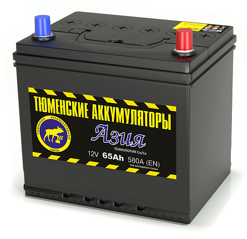 Тюмень 6СТ-65.0LR Азия 65 Ач