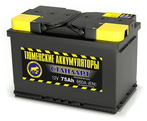 Тюмень 6СТ-75.0LR Standard 75 Ач