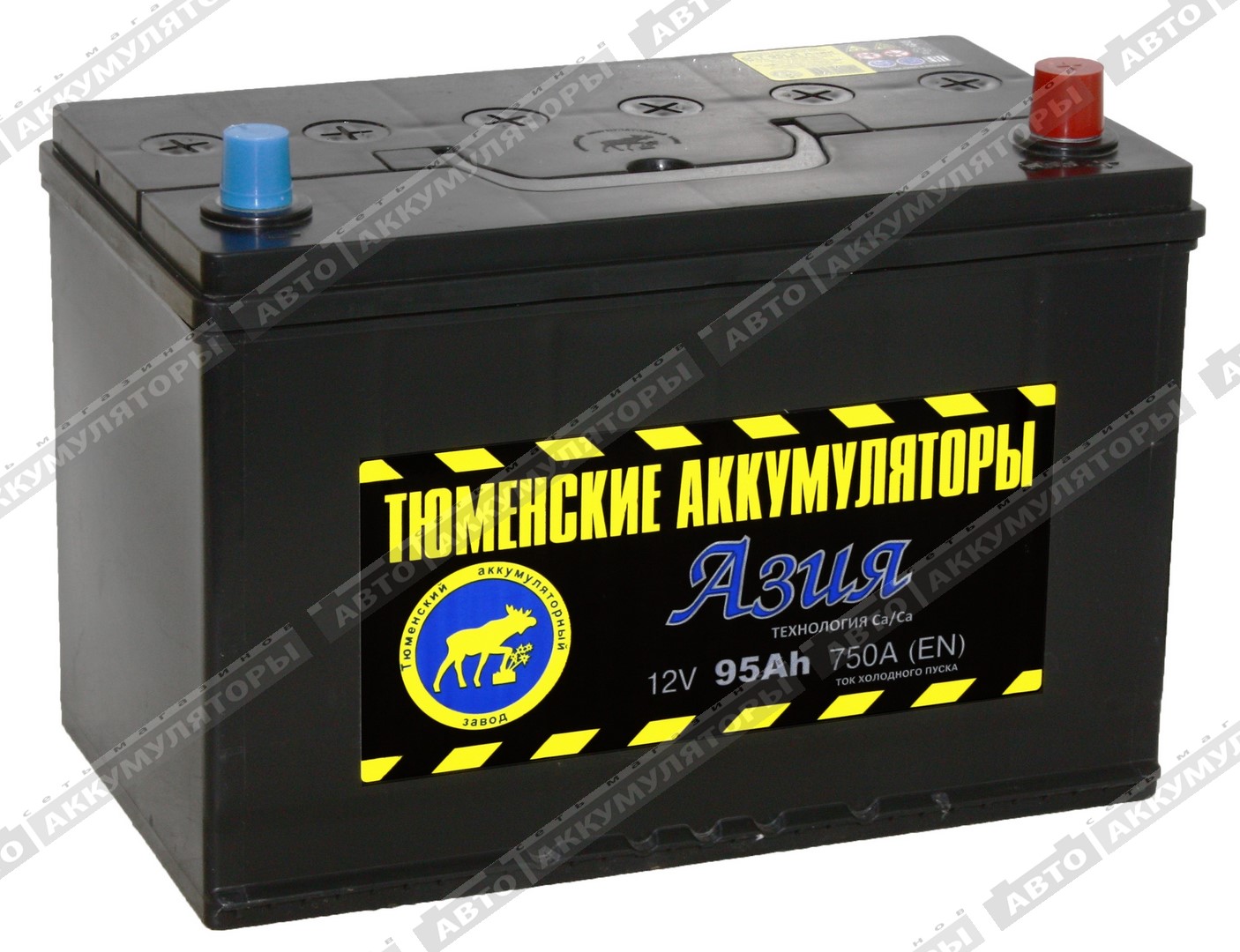 Тюмень 6СТ-95.0LR Азия 95 Ач